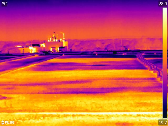 IR_2021-08-20_0223.jpg