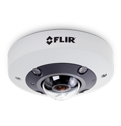 FLIR Quasar<span>&trade;</span> Hemispheric Mini-Dome AI