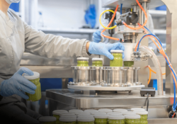 food-beverage-manufacturing_250x175.png
